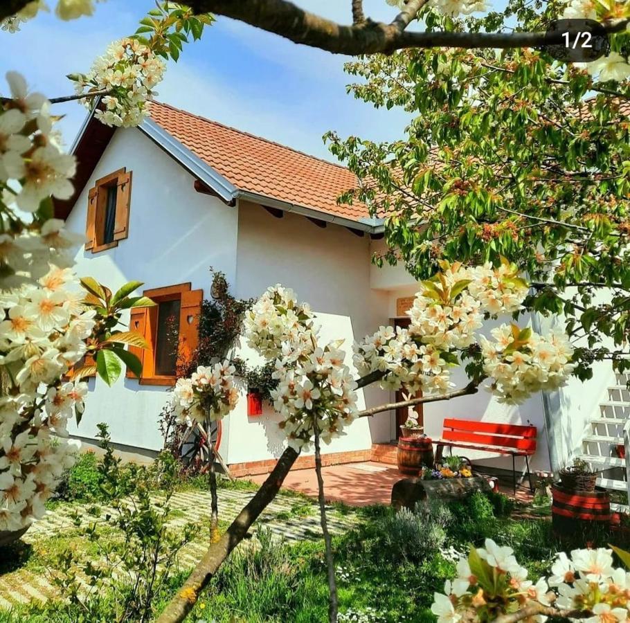 Hotel Kuca Za Odmor "Dva Srca" Ceminac Exterior foto